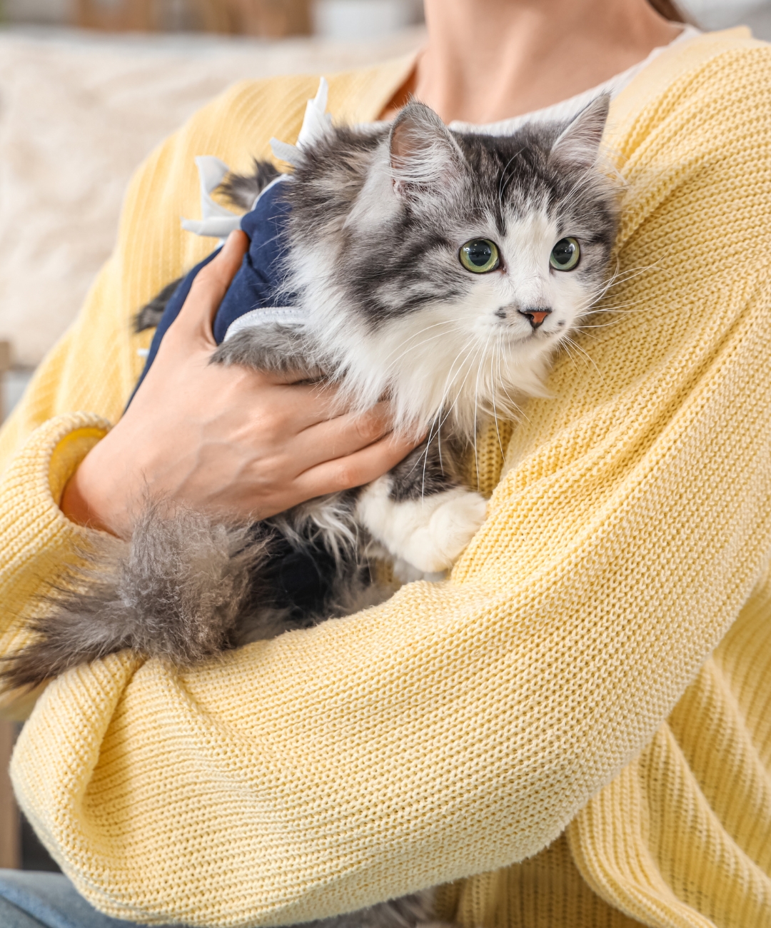 a person gently cradles a cat in her arms