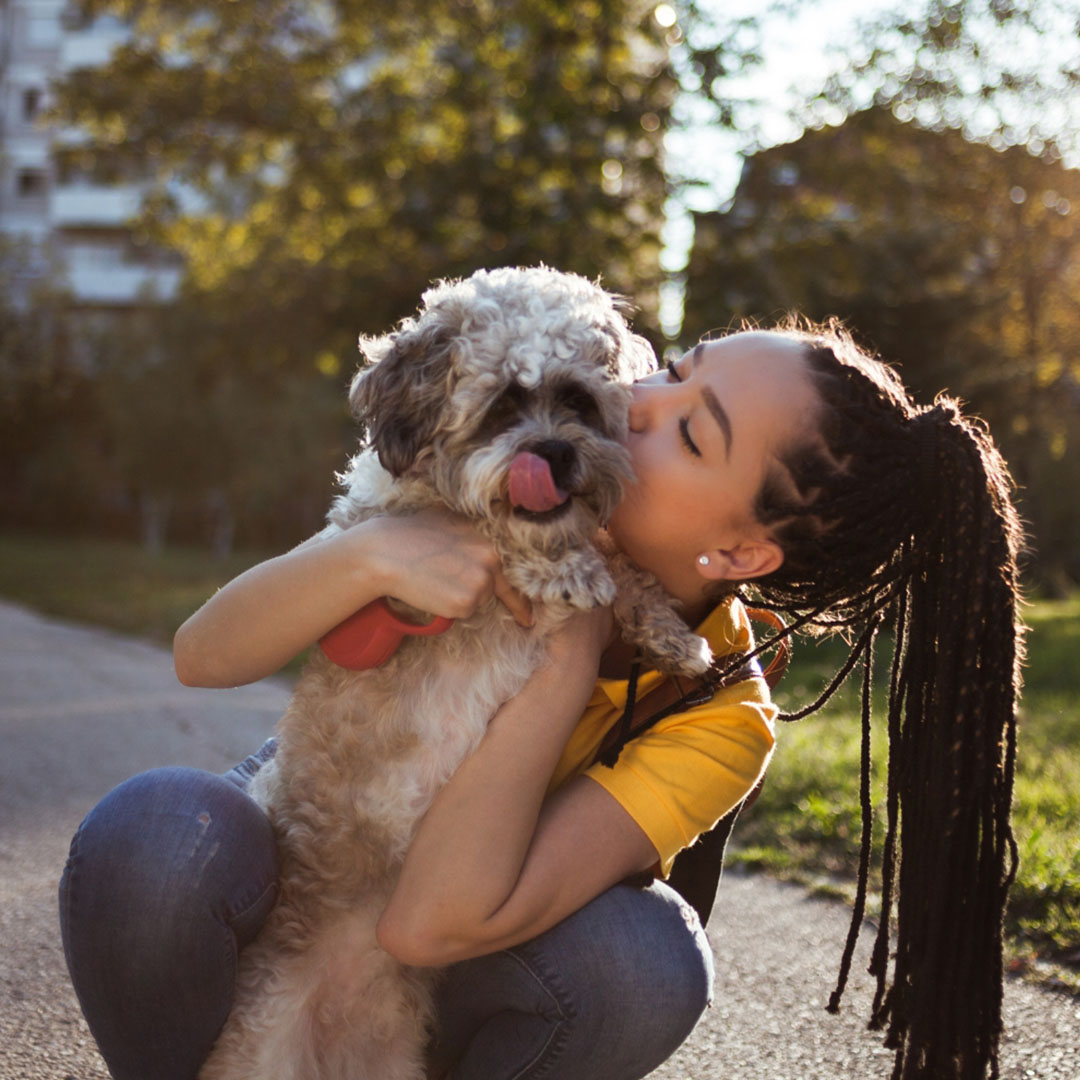 a person hugging a happy dog in a sunlit park